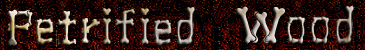 petrified wood branch