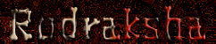 Thousand Eye Bodhi Seed