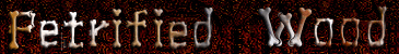 Petrified Wood Branch