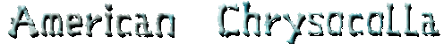 American  Chrysocolla