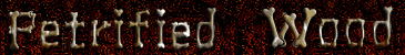 Petrified Wood