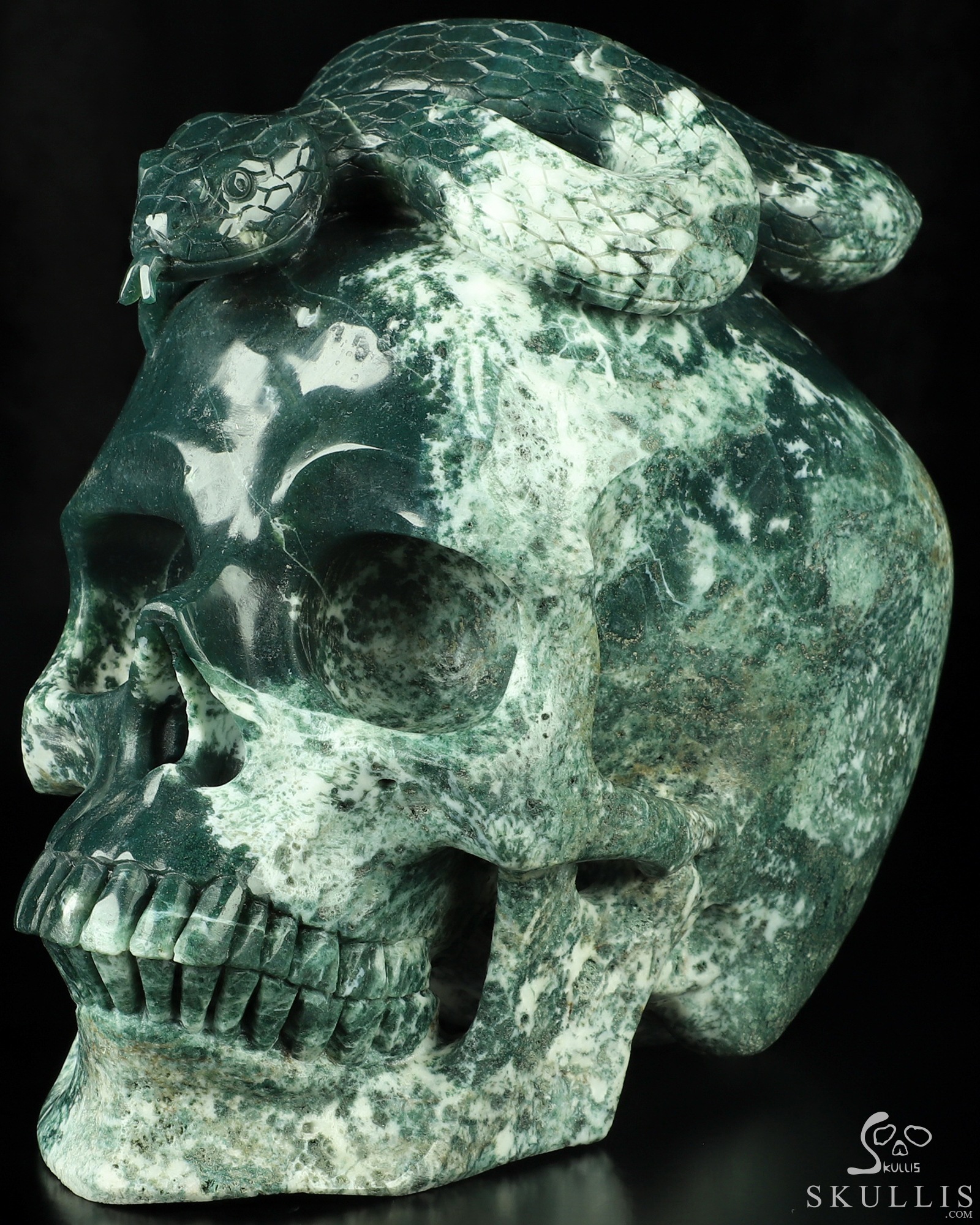 ★stone 90s グリーンエッジ ウインドローズ★ Chartres Street - Rosy Dawn Gardens