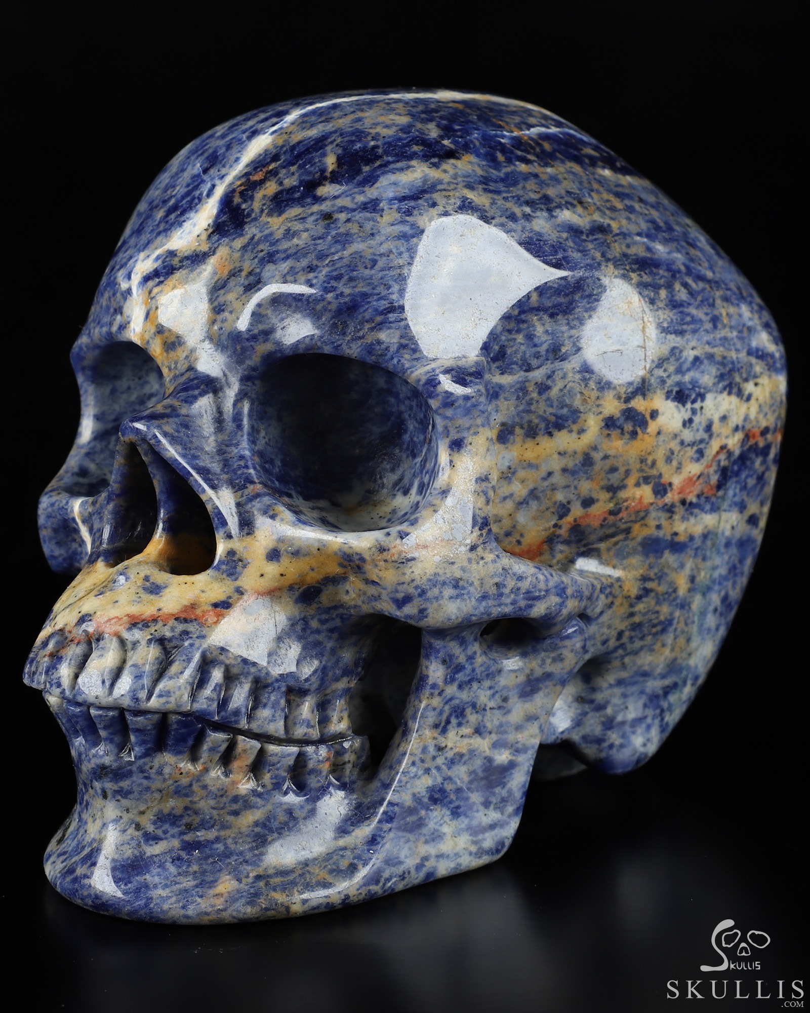 a-detailed-skull-with-earthy-