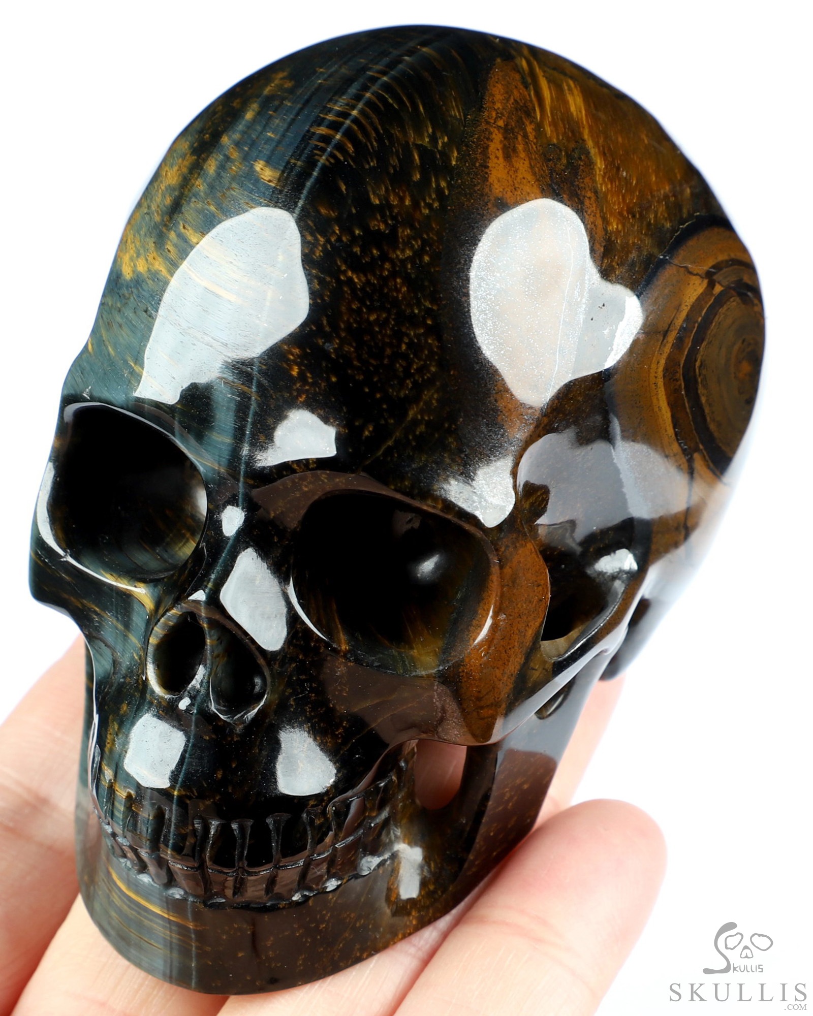 ３個で！トリニティー スカル TRINITY SKULL Rivera Skull With Butterflies Box – Jay Strongwater