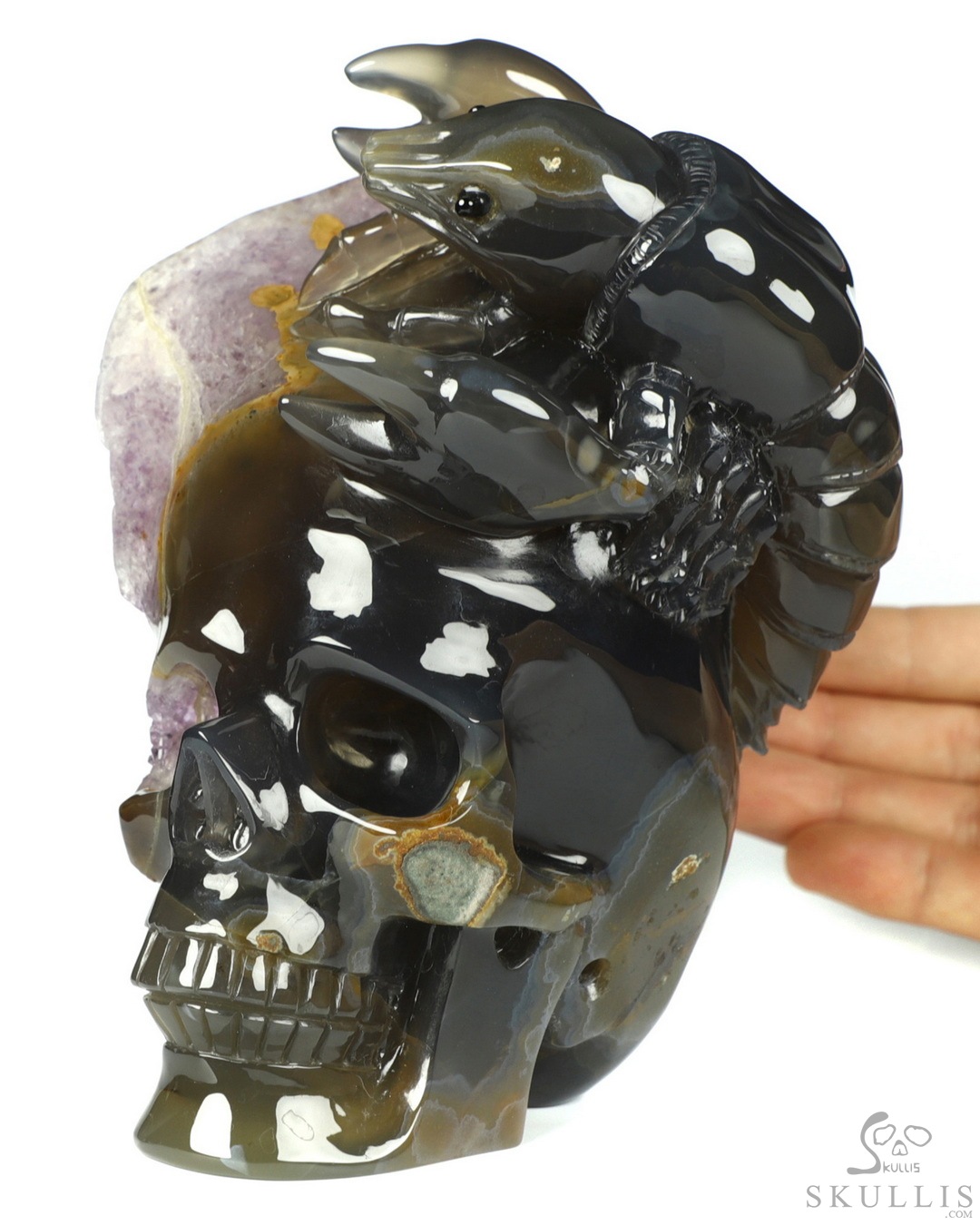 6-1-Agate-Amethyst-Geode-Carved-Crystal-Skull-Crayfish-Crystal