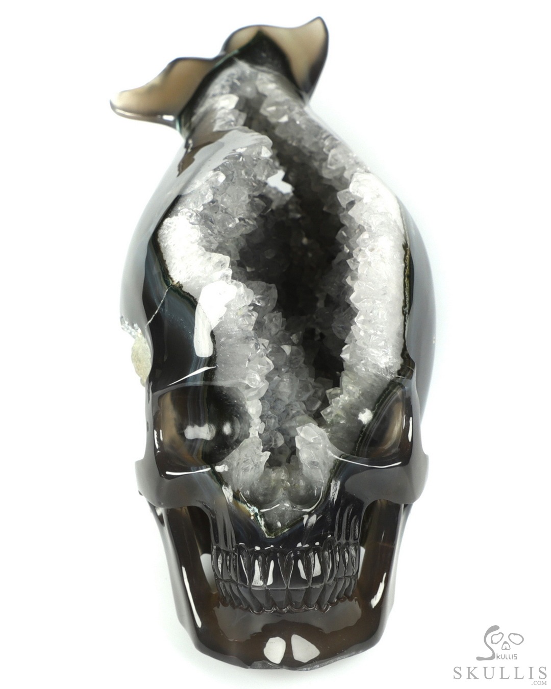 A Fish Skull 8.8