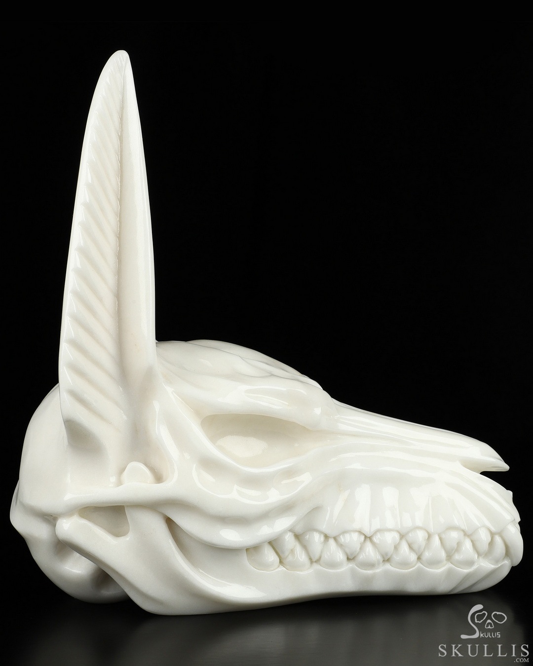 その他 HASADHU SHINGON SKULL SCULPTURE IN WHITE HASADHU SHINGON SKULL SCULPTURE IN WHITE