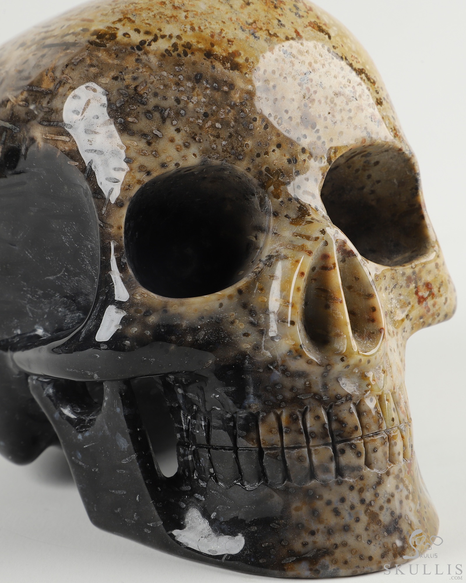 『FOSSIL（フォッシル）』非売品ボブルヘッド HUGE 5.1