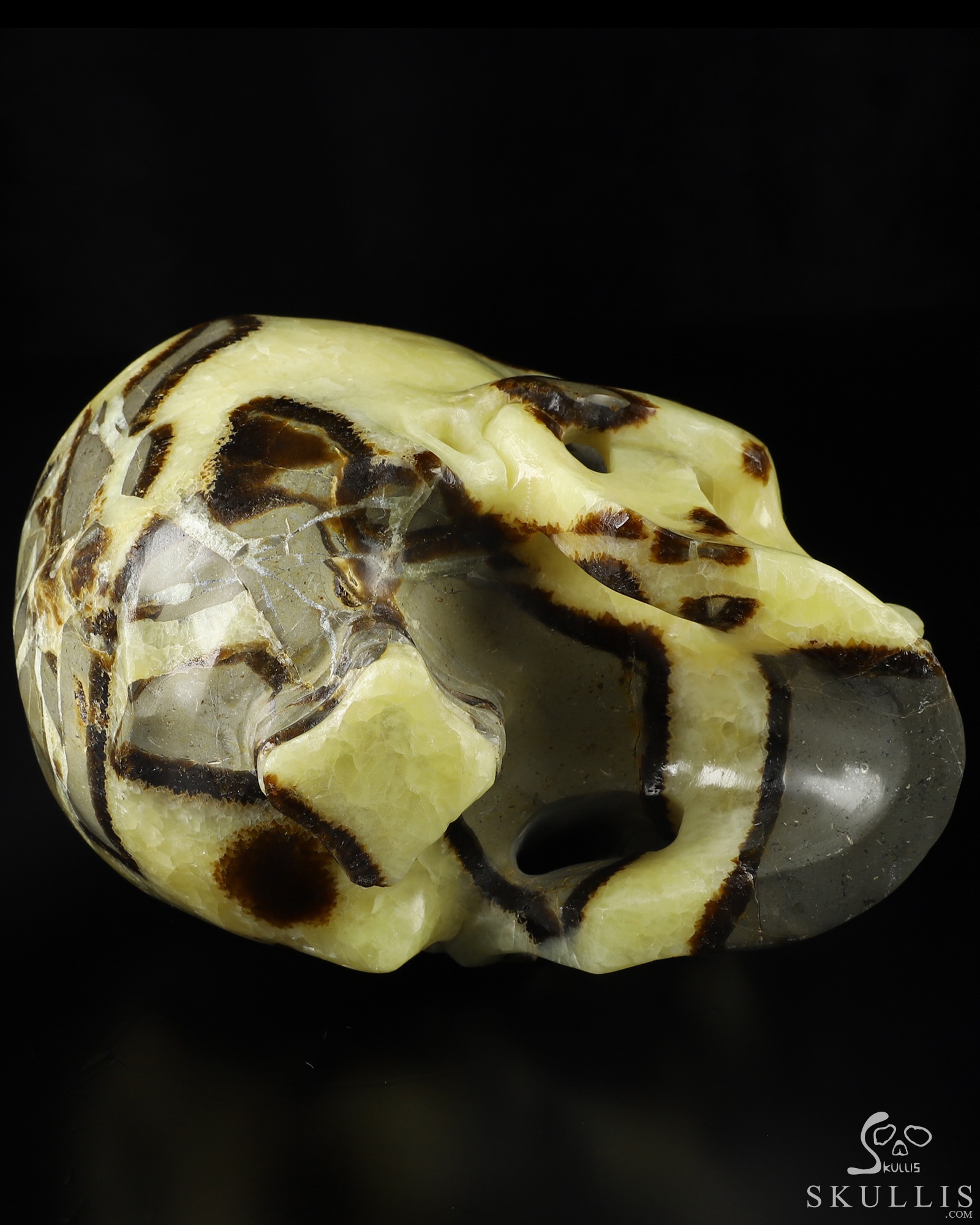 龍の石像 Amazon.co.jp: 『竜』ブロンズ像 銅像 彫像 彫刻 龍 辰 厄除け