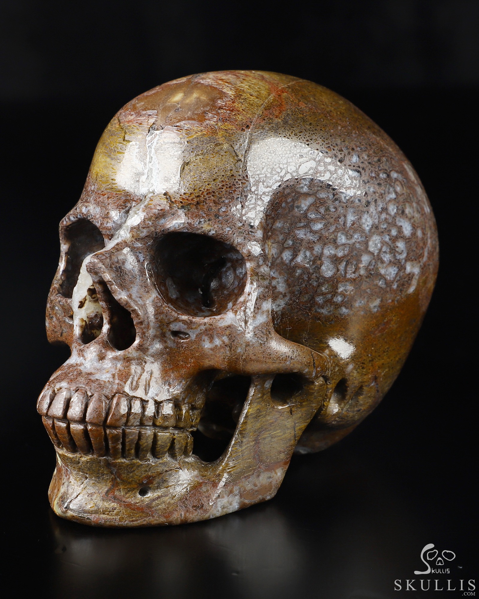 THE SKULL DISK NATURE TONES × DAMNGOOD Gemstone 3.7