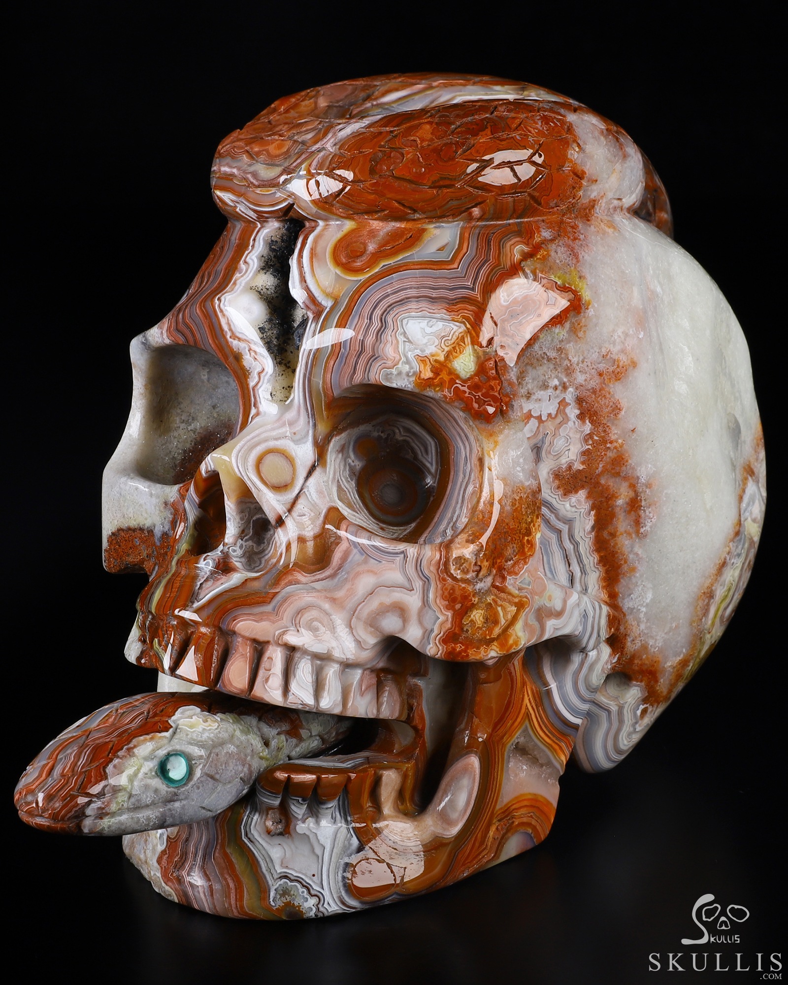 AWESOME-6-6-Red-Crazy-Lace-Agate-Carved-Crystal-Skull-Snake