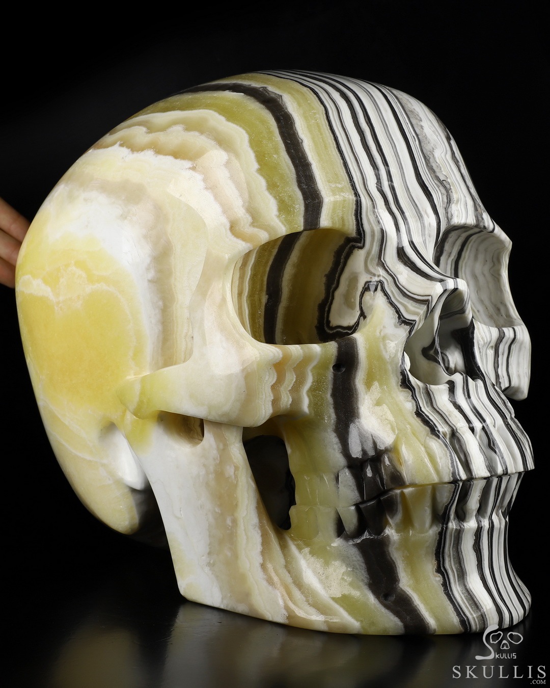 THE SKULL DISK DAMNGOOD!! × NATURE TONES waveads_0002_uvfocus1.jpg