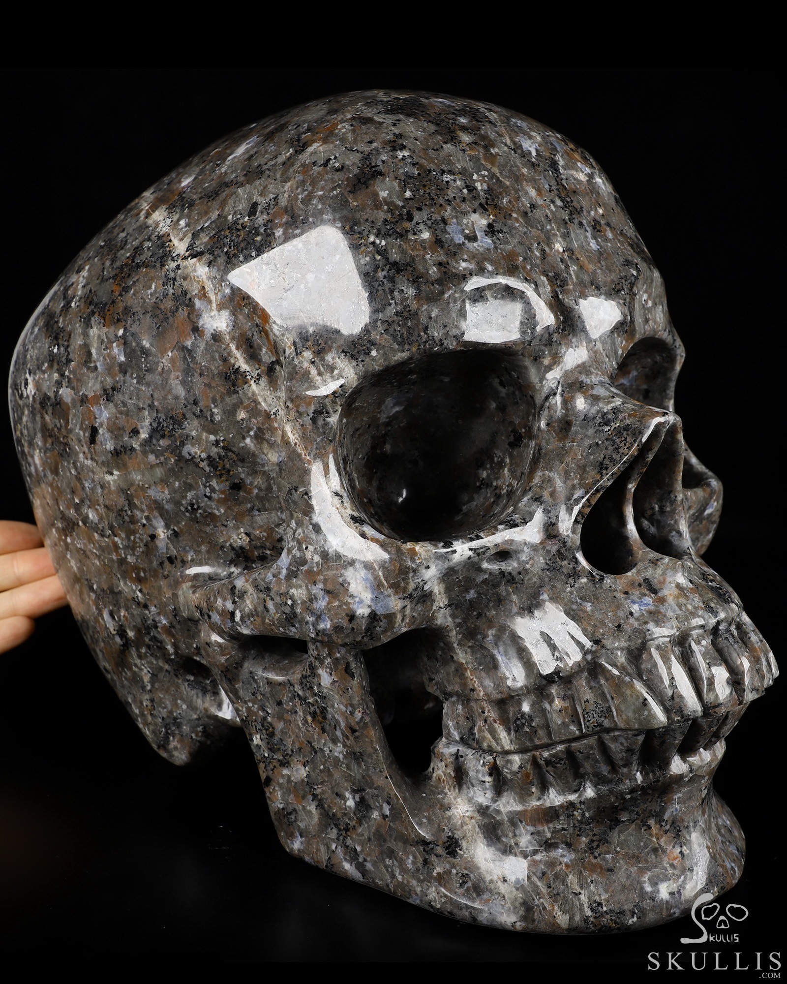 ３個で！トリニティー スカル TRINITY SKULL 3個で！トリニティー スカル TRINITY SKULL 3個で！トリニティー