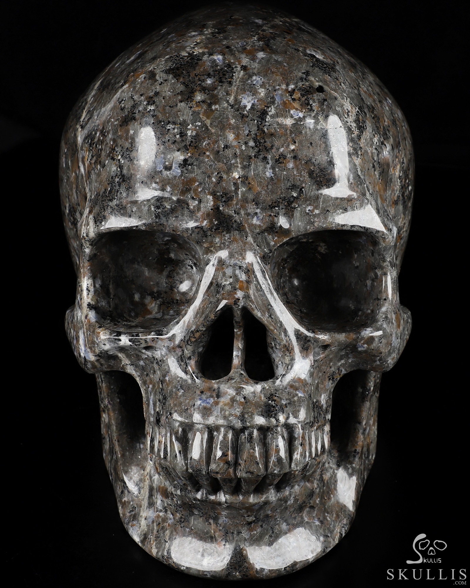38灯 別注モデル HOLINUTS SKULL ver. Holiday Home Blacklight Orange Skull, 1 ct - City Market