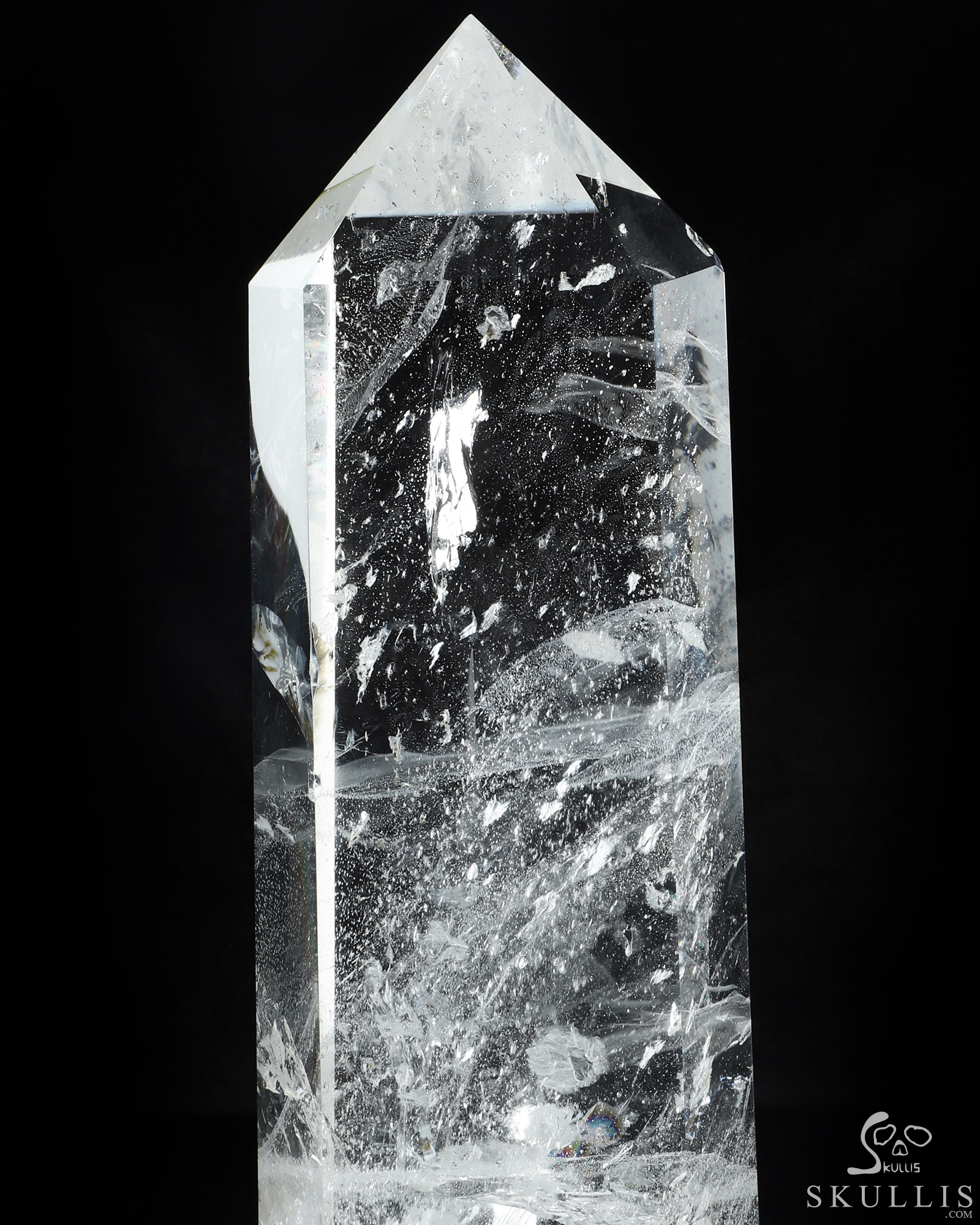 ３個で！トリニティー スカル TRINITY SKULL Replica KNM ER-406 Skull (Cranium Only) For Sale — Skulls