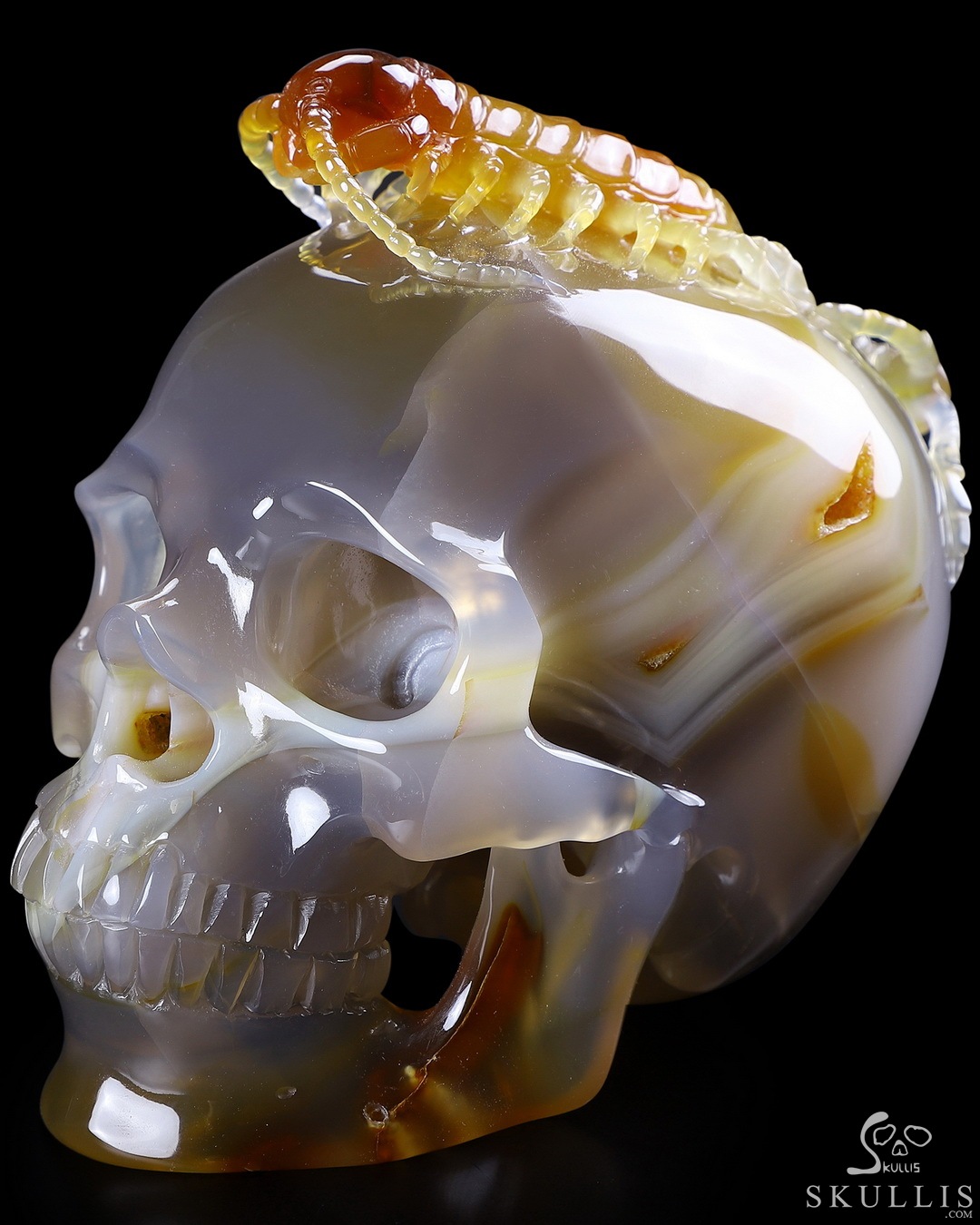 【一点物現代アート】GOD SAVE THE REP＆SKULL QUEEN Five Poisons - 5.2