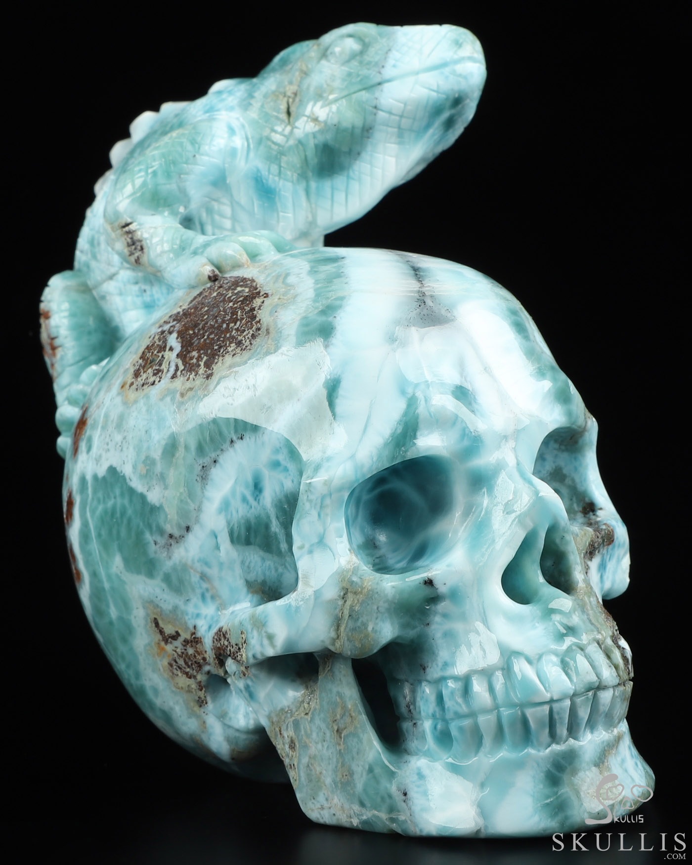 4-1-Larimar-Carved-Crystal-Skull-Chameleon-Crystal-Healing