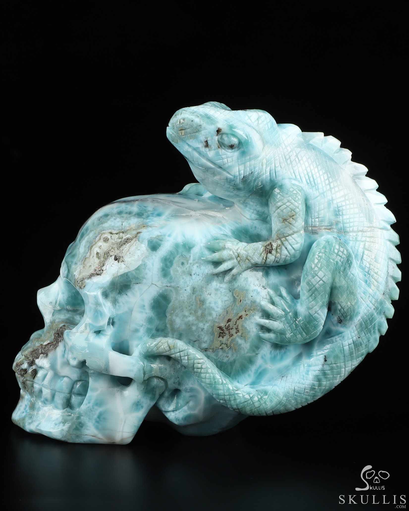 4-1-Larimar-Carved-Crystal-Skull-Chameleon-Crystal-Healing