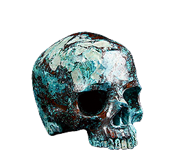 Other Skulls