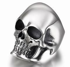 The Master - Oxidized & 925 Sterling Silver Skull Ring