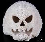 Coral King Jack White Coral Carved Jack-O-Lantern Sculpture