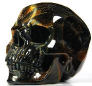Amazing Flash Gemstone Huge 5.0" Blue & Gold Tiger Eye Carved Crystal Skull, Super Realistic