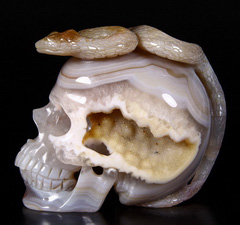 Nice Huge 4.1" Grey Geode Agate Carved Crystal Skull With Snake Sculpture