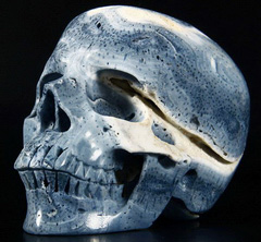 Huge 5.0" Blue Sponge Coral Carved Crystal Skull, Super Realistic