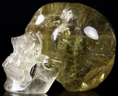 HUGE 5.1" Citrine Carved Crystal Skull, Super Realistic