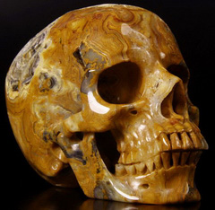 Huge 5.2" Crazy Lace Agate Carved Crystal Skull, Super Realistic