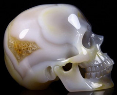 Huge 5.0" Grey & White Agate Carved Crystal Skull, Super Realistic
