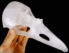 New Giant 8.2" Angolan Quartz Rock Crystal Carved Crystal Raven Skull With Skull Face Sculpture, Crystal Healing