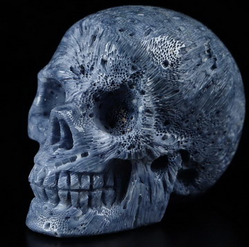 1.1" Blue Sponge Coral Carved Crystal Skull,Realistic, Crystal Healing