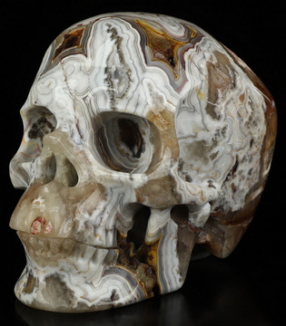 Gemstone 5.0" Red Crazy Lace Agate Hand Carved Crystal Skull, Super Realistic, Crystal Healing