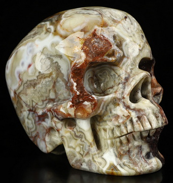 Gemstone 4.6" Red Crazy Lace Agate Hand Carved Crystal Skull, Super Realistic, Crystal Healing