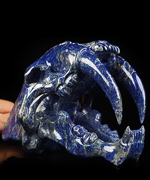 6.0" Lapis Lazuli Carved Smilodon SABER-TOOTHED Tiger/Cat Skull, Crystal Healing