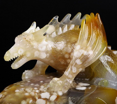 6.7" Sakura Agate Carved Crystal Western Dragon, Crystal Healing
