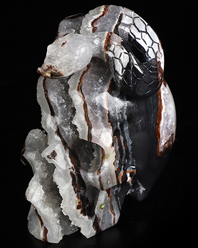 4.6" Black Zebra Agate Hand Carved Crystal Skull and Snake Sculpture, Crystal Healing