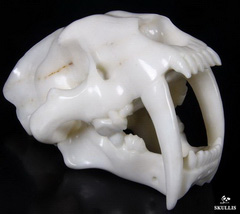 HUGE 7.1" White Jade Carved Crystal Smilodon SABER-TOOTHED Tiger/Cat Skull