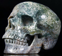 Huge 5.2" Green Moss Agate Carved Crystal Skull, Super Realistic