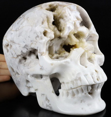 7.0" Indonesian Agate Geode Carved Crystal Skull,Super Realistic, Crystal Healing