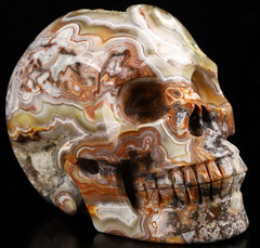 5.0" Red Crazy Lace Agate Geode Carved Crystal Skull,Realistic, Crystal Healing