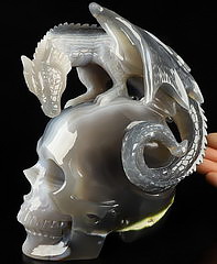 6.5" Gray & White Agate Carved Crystal Skull & Western Dragon, Crystal Healing