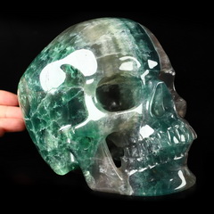 Super Realistic! Lifesized 7.0" Fluorite Hand Carved Crystal Skull, Crystal Healing