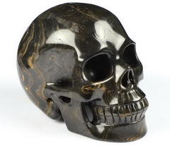 Huge 5.0" Stromatolite Fossil Carved Crystal Skull, Realistic, Crystal Healing