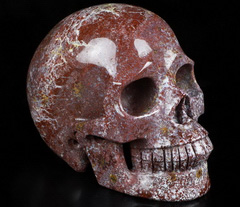 Huge 5.0" Red Moss Agate Carved Crystal Skull, Realistic, Crystal Healing