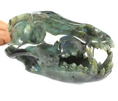 8.4" Labradorite Carved Crystal Wolf Skull Sculpture, Crystal Healing