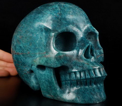 Gemstone Lifesized 6.8" Blue Apatite Carved Crystal Skull, Realistic, Crystal Healing