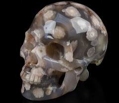 GEODE 5.0" Sakura Agate Carved Crystal Skull, Realistic, Crystal Healing