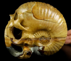 5.7" Polychrome Jasper Carved Crystal Octopus Skull, Crystal Healing